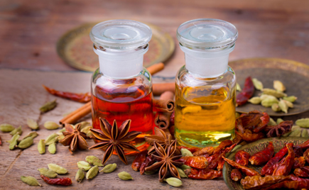 Interviews de Catherine de Brucker lors de l'atelier d'initaition Ayurveda animé par Catherine de Brucker.